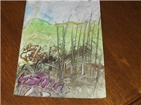 5f68c50c-Picture 005.jpg